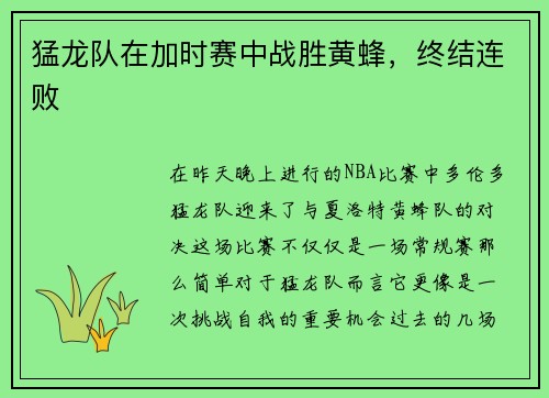 猛龙队在加时赛中战胜黄蜂，终结连败
